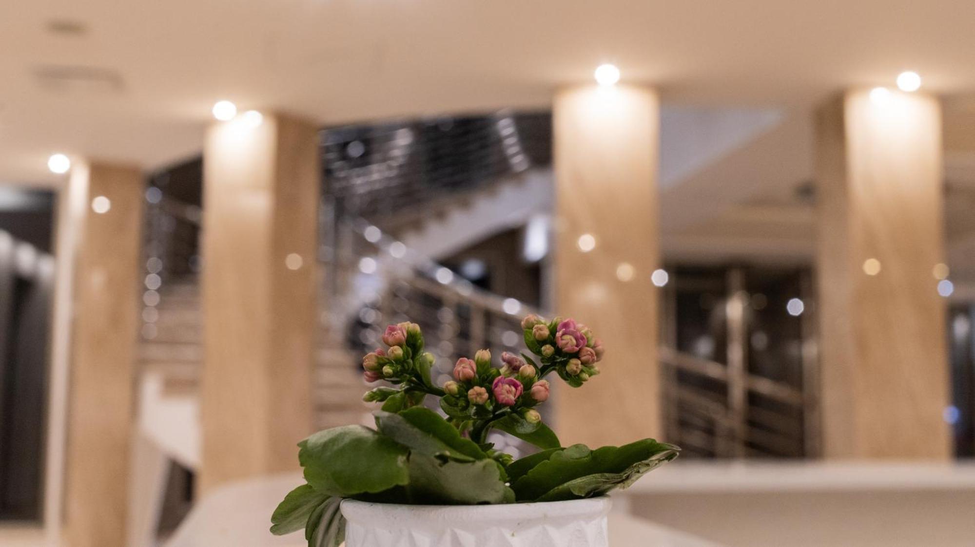 Hotel Donna Crescenza Locorotondo Buitenkant foto